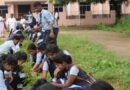 स्कूलों में पर्यावरण नहीं, जलवायु समाधान भी सीखेंगे छात्र