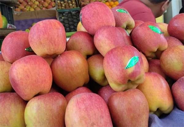 अदाणी ने हिमाचल में बढ़ाए सेब खरीद के रेट, 23 रुपये तक की बढ़ोतरी