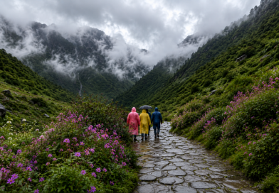 लगातार बारिश के चलते फूलों की घाटी पर्यटकों के लिए बंद, प्रशासन ने सुरक्षा को दी प्राथमिकता